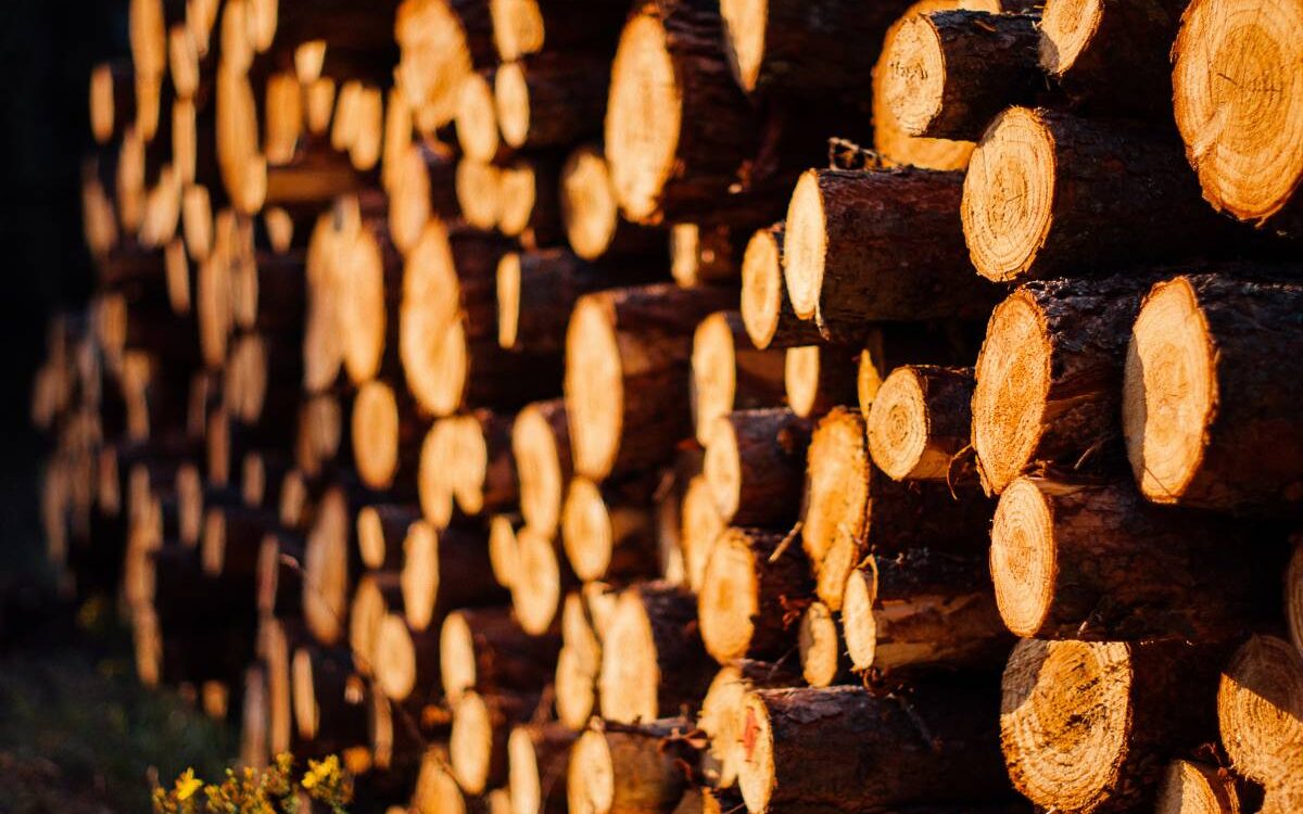 Comment mesure-t-on un stère de bois ? Cernay