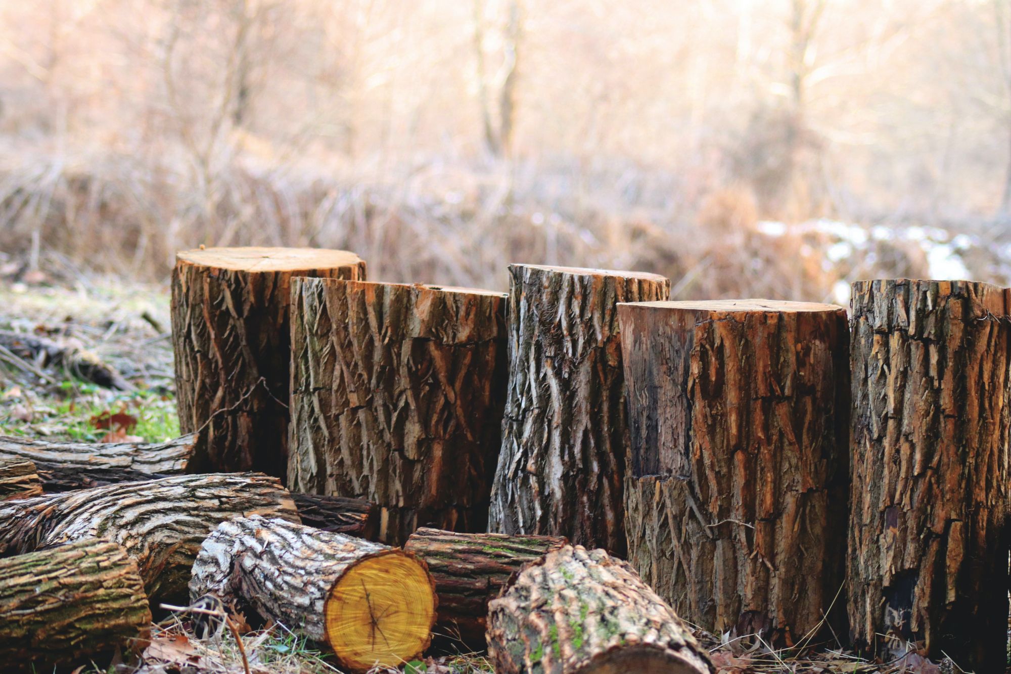 Mesurer l'humidité du bois de chauffage avec Eco Bois Alsace