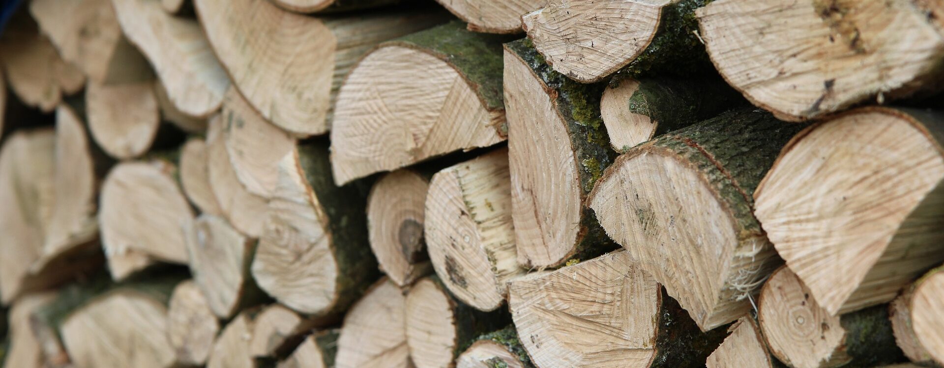 Qu’est-ce qu’un stère de bois de chauffage ? Cernay