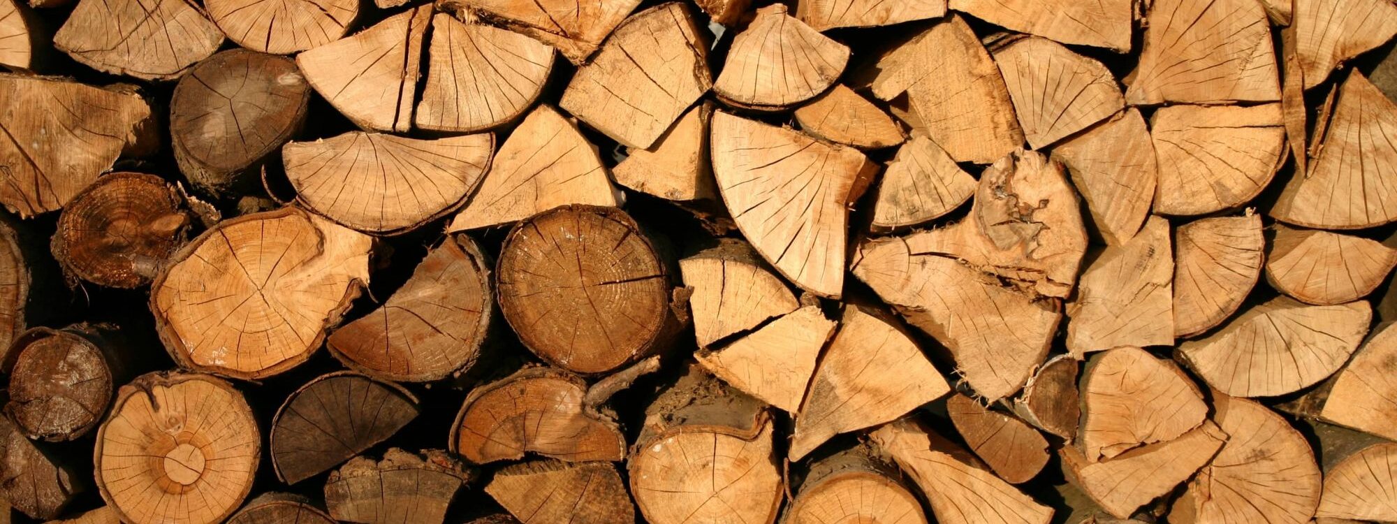 Quel est le meilleur bois de chauffage pour un poêle à bois ? Belfort